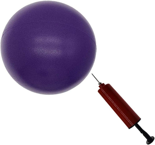 8 Inch Exercise Ball, Small Exercise Ball Mini Yoga Ball, Pilates Ball 8 in with Needle Pump, Core Ball Barre Workout anti Burst 8” Ball for Stability Physical Therapy Fitness