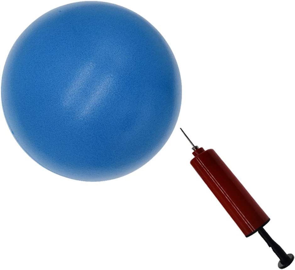8 Inch Exercise Ball, Small Exercise Ball Mini Yoga Ball, Pilates Ball 8 in with Needle Pump, Core Ball Barre Workout anti Burst 8” Ball for Stability Physical Therapy Fitness