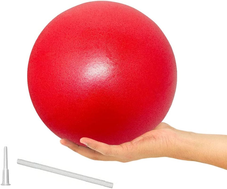 9 Inch Exercise Pilates Ball Mini Exercise Barre Ball for Yoga,Stability Exercise Training Gym anti Burst and Slip Resistant Balls Physical Therapy Improves Balance, Core Strength, Back Pain Posture