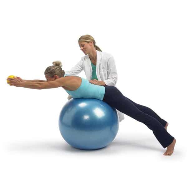 Gymnic Classic Plus Exercise Stability Balls - Senior.com Exercise Balls
