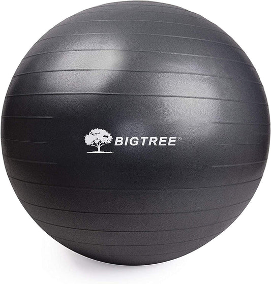 BIG.TREE Pilates Exercise Ball Anti-Burst Fitness Ball, Yoga Balance Ball for Workout, Birthing, Stability Gym Office Training and Physical Therapy(55Cm-75Cm)