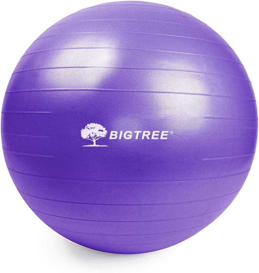 BIG.TREE Pilates Exercise Ball Anti-Burst Fitness Ball, Yoga Balance Ball for Workout, Birthing, Stability Gym Office Training and Physical Therapy(55Cm-75Cm)