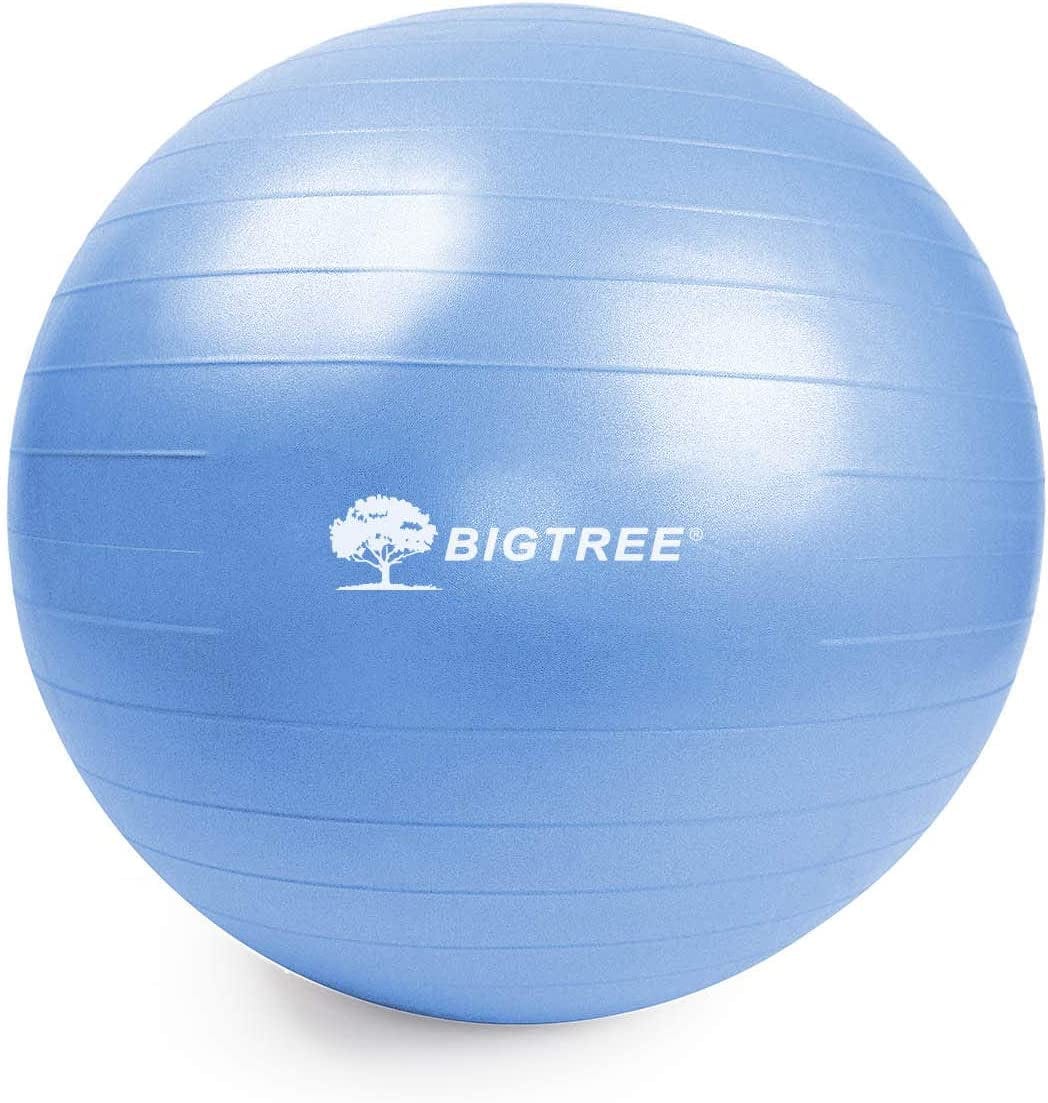 BIGTREE Yoga Ball 2022 Upgrade Exercise Fitness Core Stability Balance Strength 600 Lbs Capacity Anti-Burst Heavy Duty Prenatal Birthing Yogaball for Office Home Gym