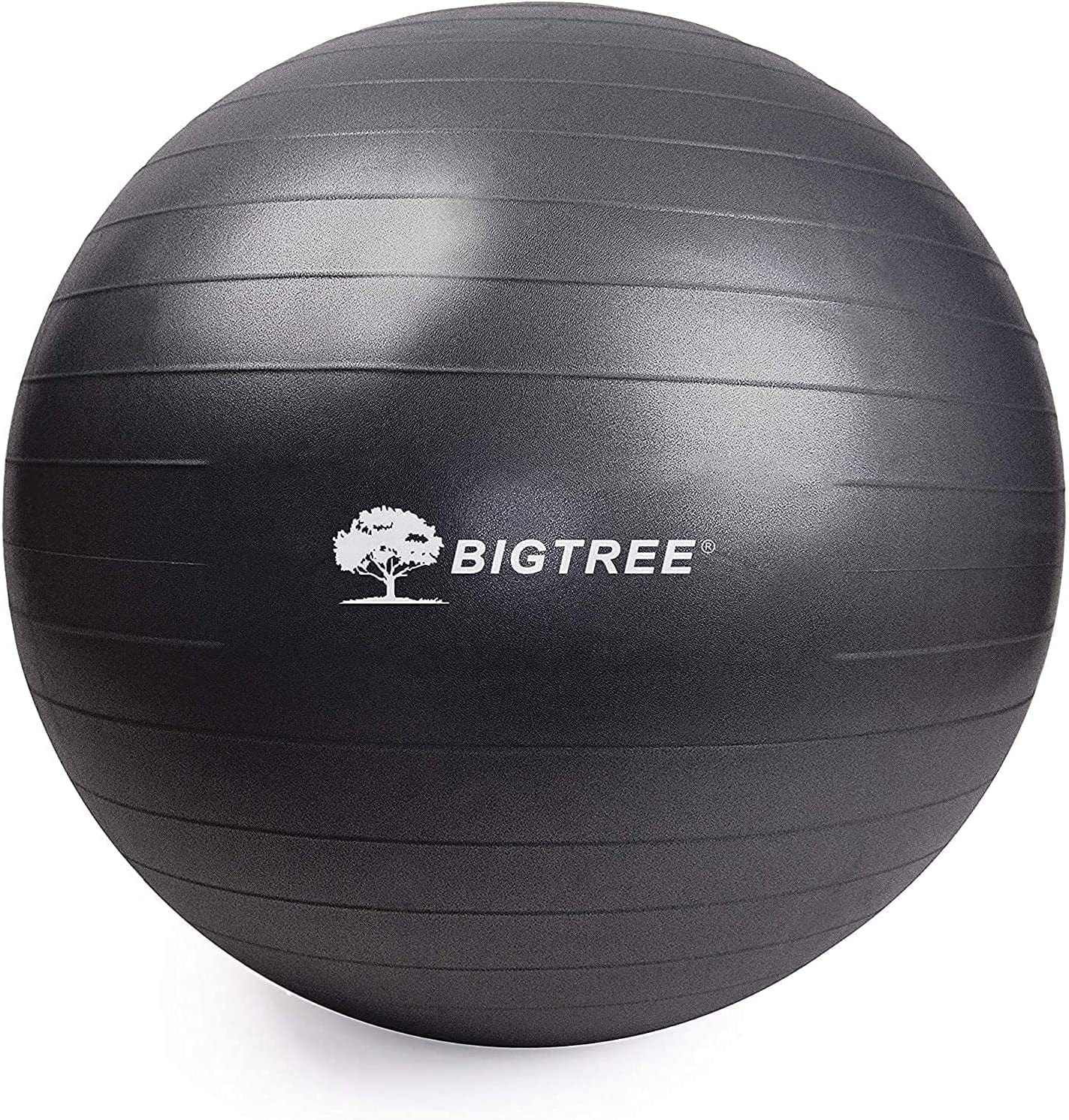 Exercise Ball, Yoga Ball Balance Pilates Anti-Burst with Pump Stability Fitness Ball Birthing Chair for Workout Core Training Office Home Gym Physical Therapy Pregnancy