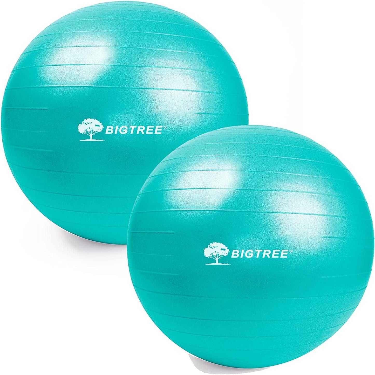 Exercise Ball, Yoga Ball Balance Pilates Anti-Burst with Pump Stability Fitness Ball Birthing Chair for Workout Core Training Office Home Gym Physical Therapy Pregnancy