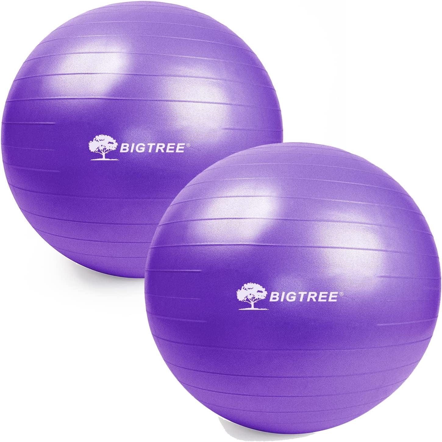 Exercise Ball, Yoga Ball Balance Pilates Anti-Burst with Pump Stability Fitness Ball Birthing Chair for Workout Core Training Office Home Gym Physical Therapy Pregnancy