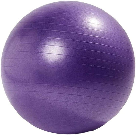 FARUTA Sport Yoga Ball Exercise Ball for Women Men Balance Stability Workout Fitness anti Burst 65Cm Thickened (900G Purple Not Included Accessory