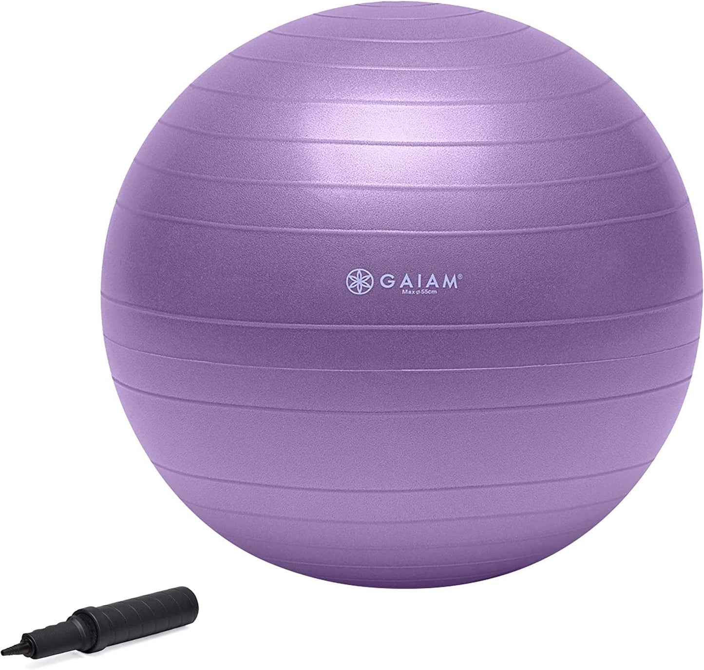 Gaiam Total Body Balance Ball Kit - Includes Anti-Burst Stability Exercise Yoga Ball, Air Pump, Workout Program