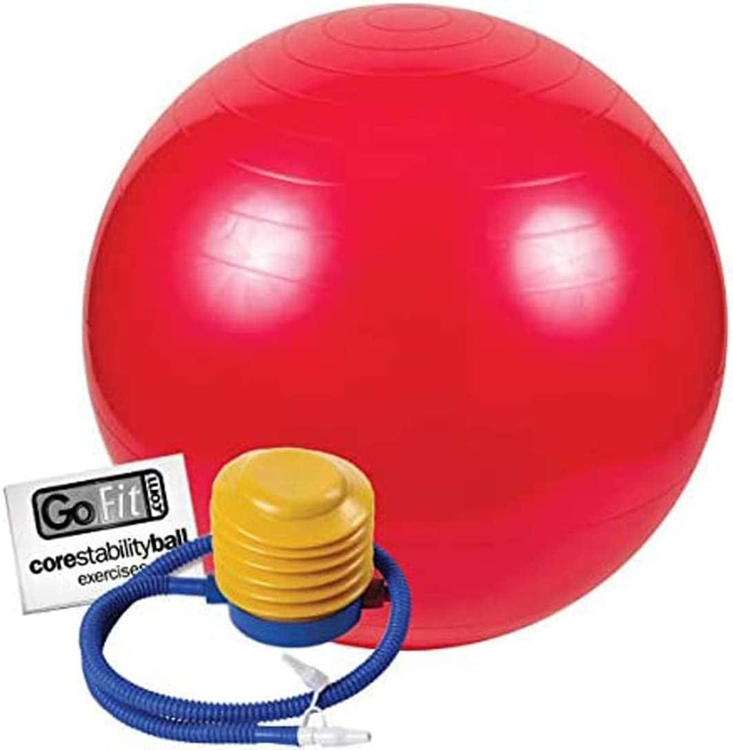 Gofit Balance and Stability Ball - Blue 75Cm