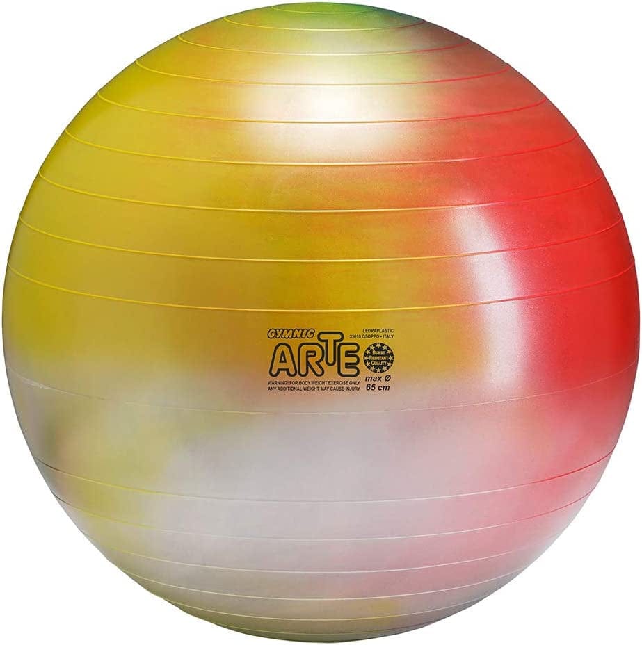 Gymnic Arte plus Burst-Resistant Exercise Ball (65 Cm)