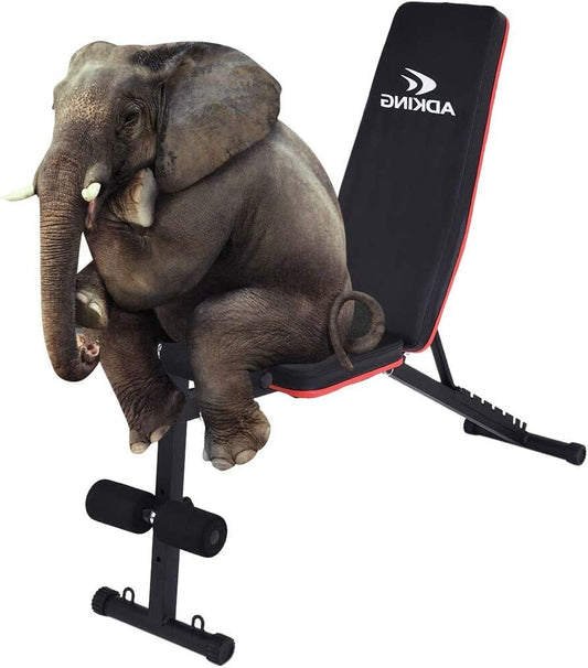 Home Adjustable Weight Bench Workout Bench, Sit up Incline/Decline Abs Benchs, Foldable Multifunctional Dumbbell Bench, Flat Fly Weight Press Fitness Equipment (Black, 130X102X42Cm/51X41X11In)