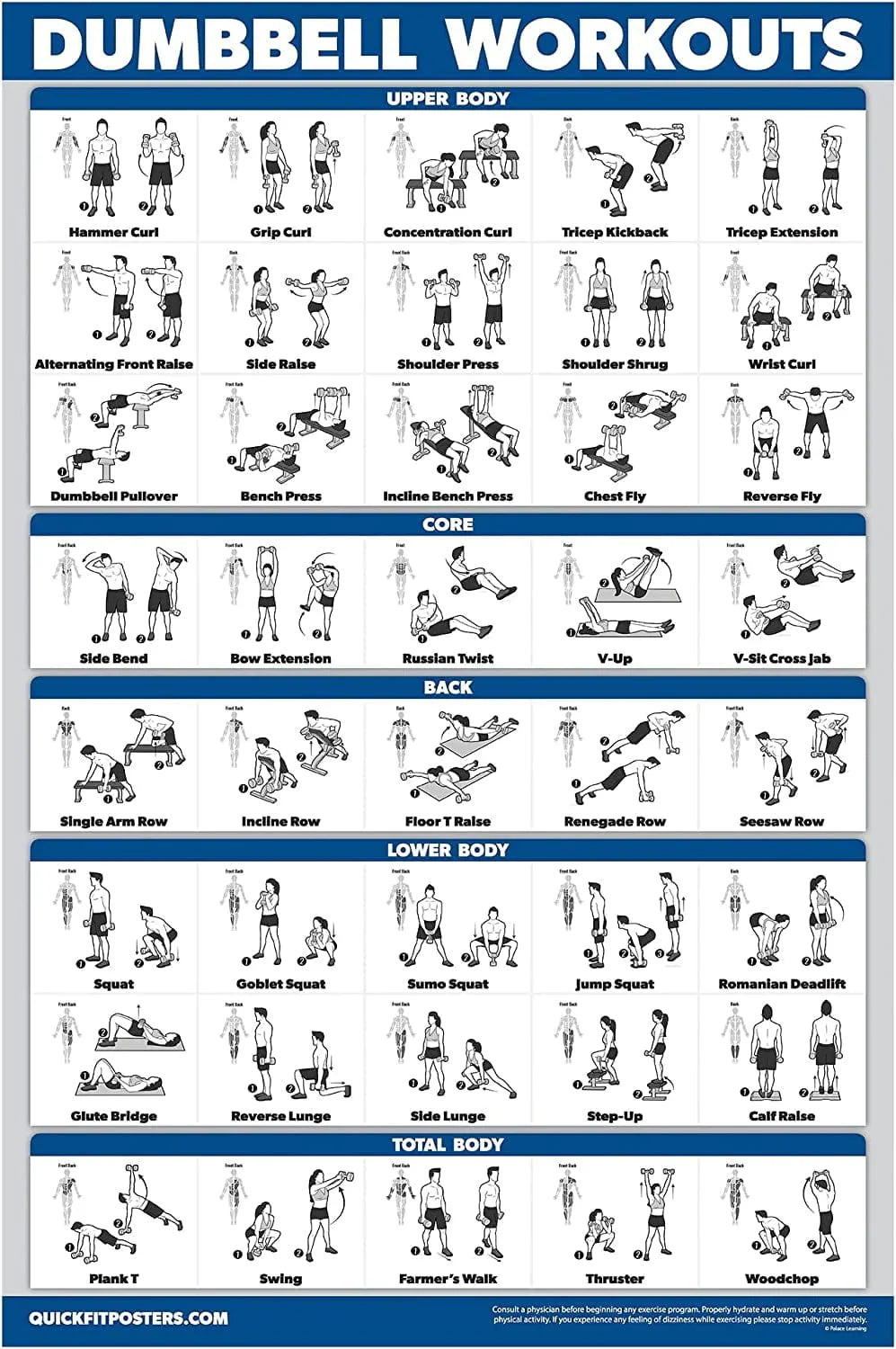 Palace Learning Dumbbell Workout Exercise Poster - Free Weight Body Building Guide | Home Gym Chart - LAMINATED, 18" X 24"