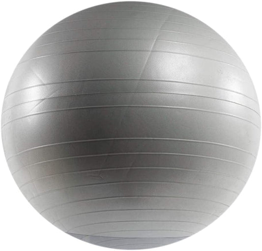 Power Systems Versa Ball Pro Stability Ball