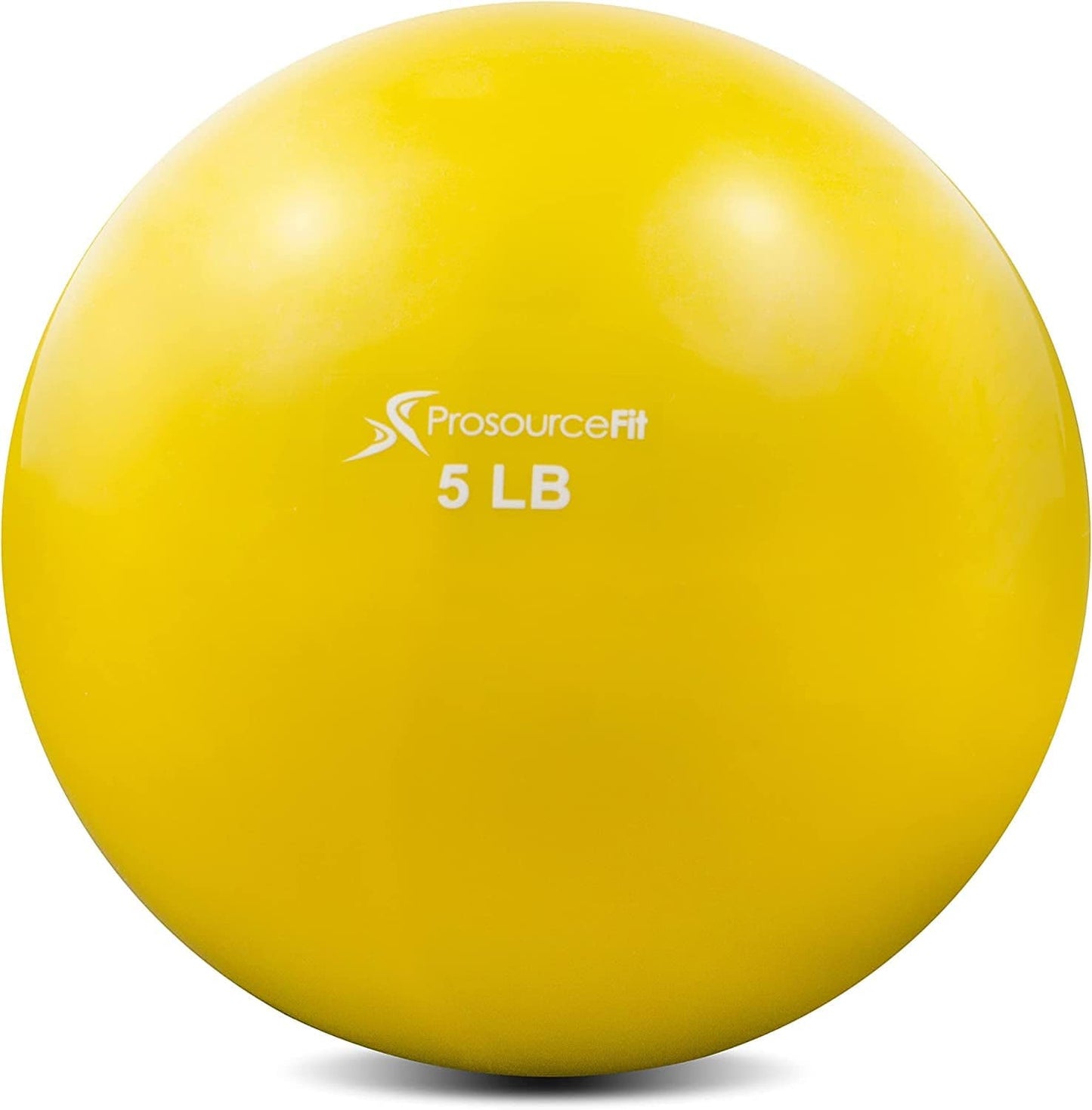 Prosourcefit Weighted Toning Exercise Balls for Pilates