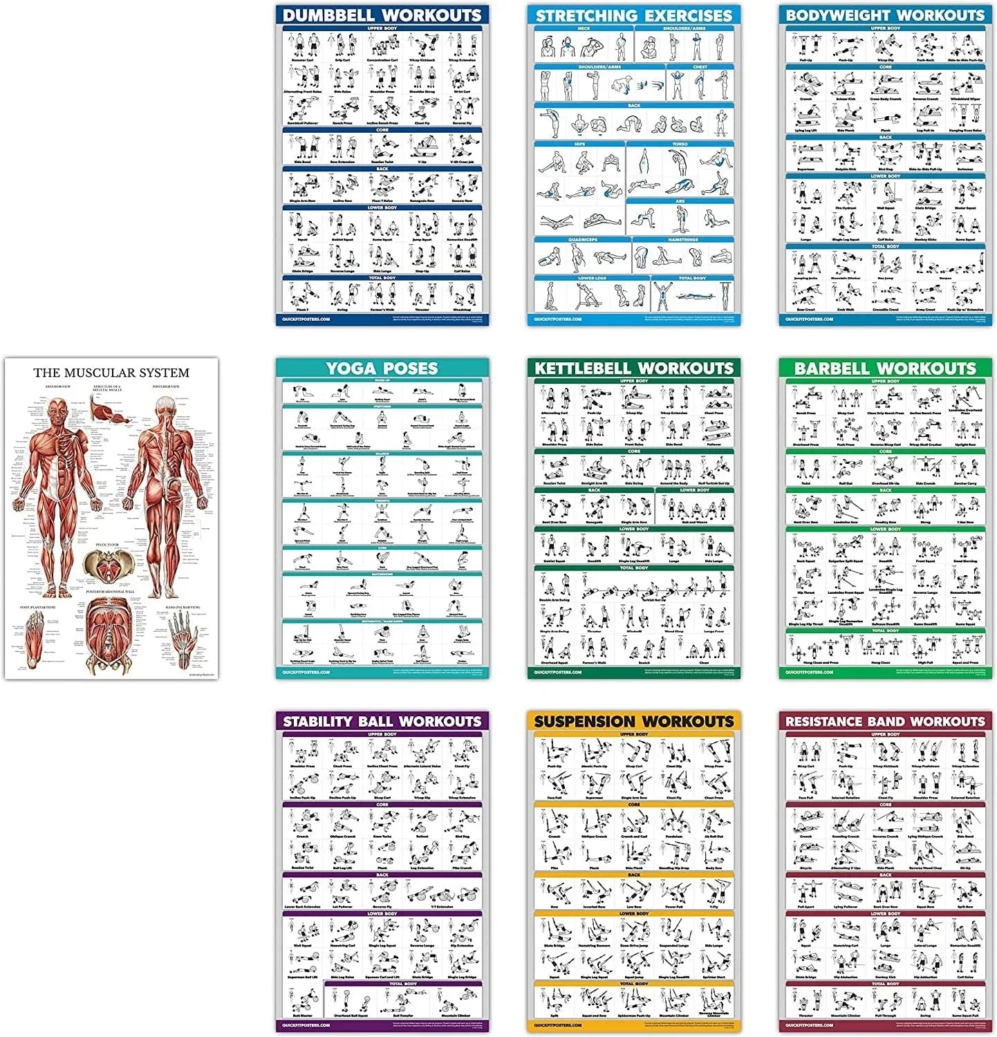 Quickfit 10 Pack - Exercise Workout Poster Set - Dumbbell, Suspension, Kettlebell, Resistance Bands, Stretching, Bodyweight, Barbell, Yoga Poses, Exercise Ball, Muscular System Chart - (18" X 27")