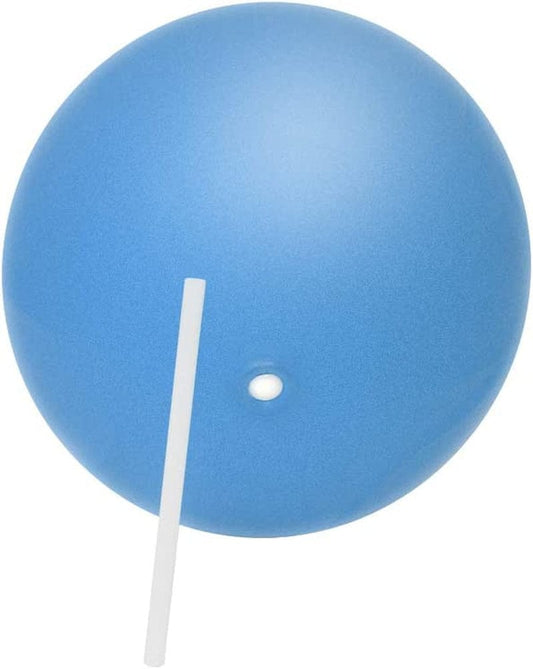 Trademark Innovations 9.8 Inch Pilates Exercise Mini Yoga Workout Ball