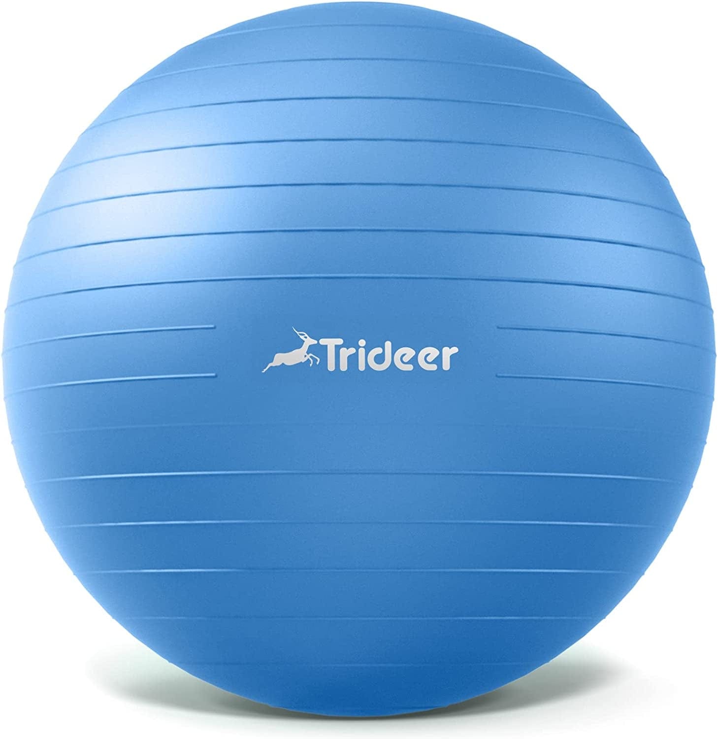 Trideer Exercise Ball, Nature Themed Yoga Ball, Easily Inflated Ball Chair, for Workout, Stability, Balance, Physical Therapy & Pregnancy, Quick Pump Included